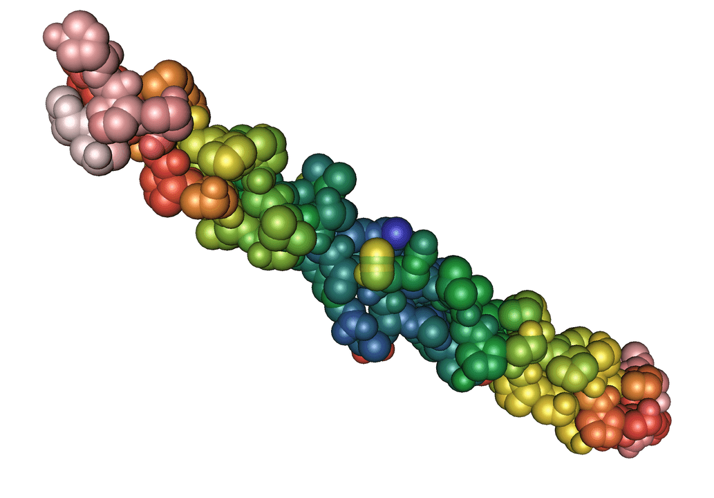 Elastin-Protein im Pulsero Gel-Gel