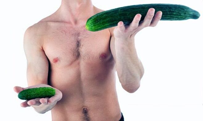 Visualisierung eines kleinen und großen männlichen Penis